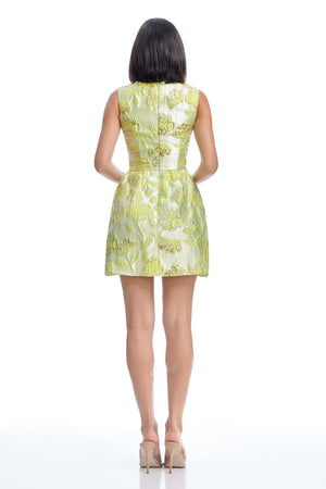 Jackie Dress / Lemongrass Multi