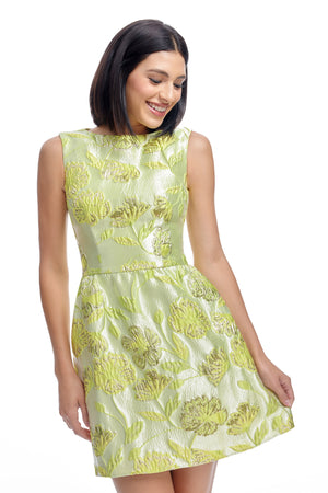 Jackie Dress / Lemongrass Multi